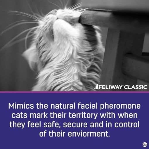 Feliway Calming Spray for Cats (60ml) 
